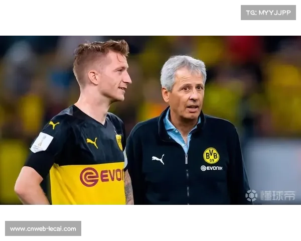 德甲冬歇期缩短成趋势，气候变暖下赛程调整成焦点