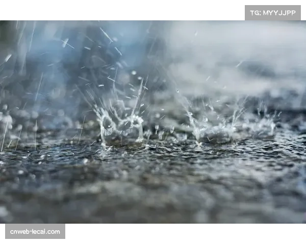 天气预警：预计雷恩对阵兰斯的比赛日将有大雨，场地可能积水